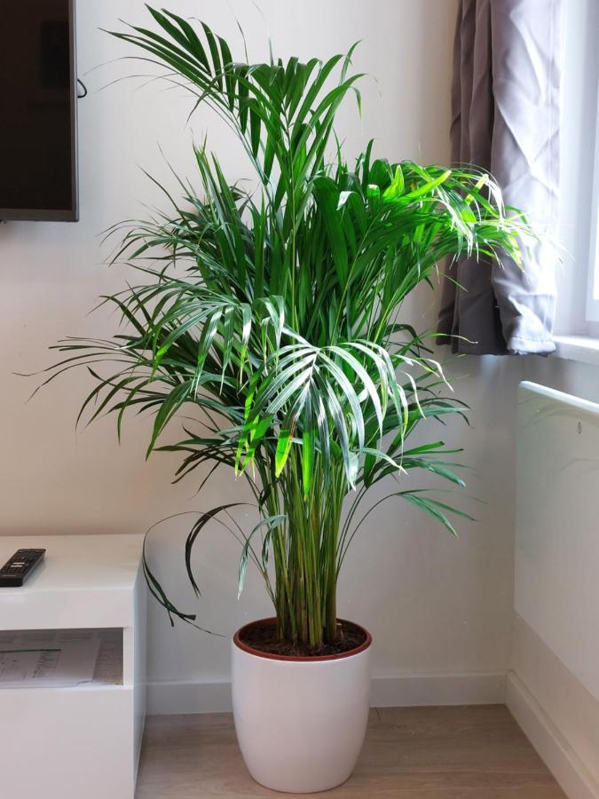 Meldolla Appartement Zagreb Buitenkant foto